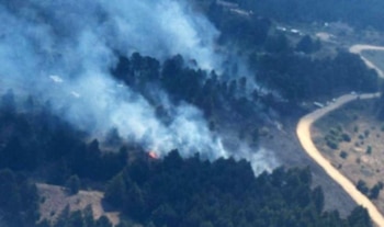 Vista aérea de un bosque con columnas de humo blanco que emergen entre los árboles junto a un camino de tierra