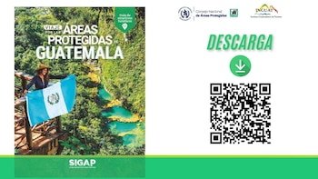 Facebook : Consejo Nacional de