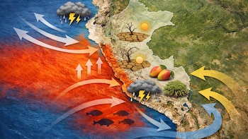 Fenómeno del Niño modificará clima en Perú mientras se espera el invierno más cálido en 30 años