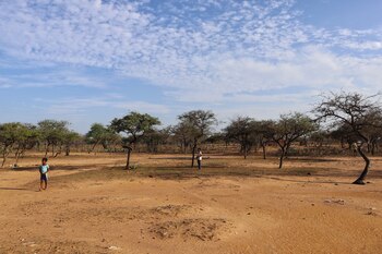 Uribia es el municipio con