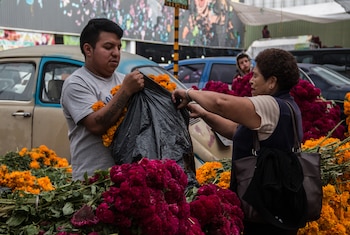 FOTO: ANDREA MURCIA /CUARTOSCURO