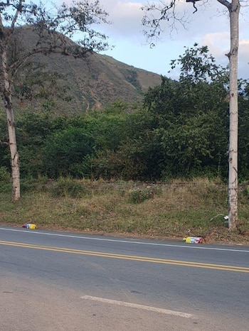 Dos cilindros abandonados con colores