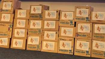 Proponen referendo en contra del