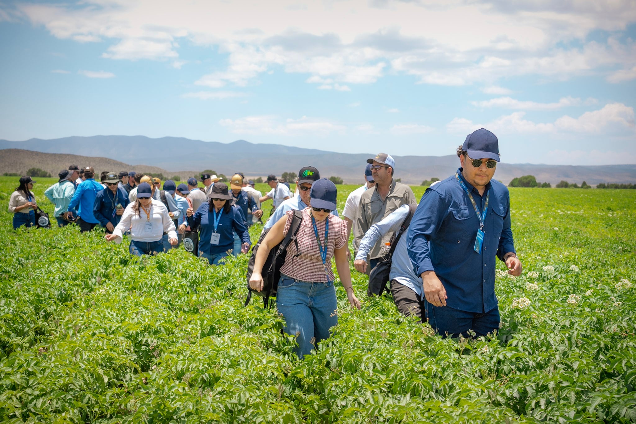 PepsiCo LATAM presentó soluciones tecnológicas para optimizar el manejo de cultivos y el uso eficiente de recursos. Productores latinoamericanos compartieron experiencias sobre agricultura regenerativa durante AgroUniversity LATAM 2026. Participantes del evento exploraron nuevas herramientas para impulsar la sostenibilidad agrícola en la región. La capacitación y la transferencia de conocimiento fortalecen la resiliencia de comunidades rurales latinoamericanas. (Cortesía PepsiCo)