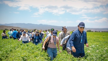 PepsiCo LATAM presentó soluciones tecnológicas para optimizar el manejo de cultivos y el uso eficiente de recursos. Productores latinoamericanos compartieron experiencias sobre agricultura regenerativa durante AgroUniversity LATAM 2026. Participantes del evento exploraron nuevas herramientas para impulsar la sostenibilidad agrícola en la región. La capacitación y la transferencia de conocimiento fortalecen la resiliencia de comunidades rurales latinoamericanas. (Cortesía PepsiCo)