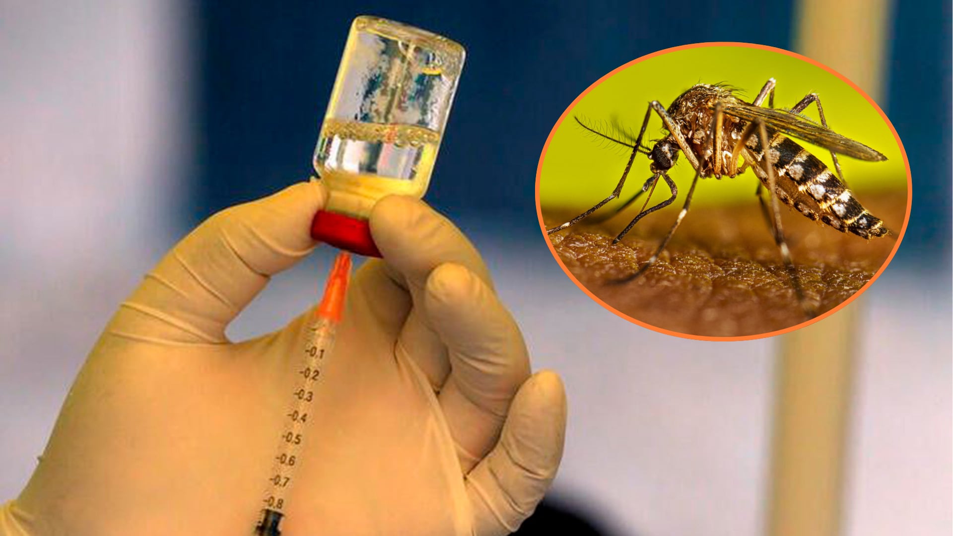 La vacunación contra el dengue sumó 428.607 dosis aplicadas en el país entre 2025 y 2026, con mayor concentración en la región Centro.