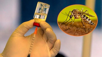 Mano con guante de látex sostiene jeringa con aguja y vial. Imagen circular de un mosquito Aedes aegypti sobre piel, con fondo verde