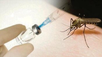 Este verano austral que pasó