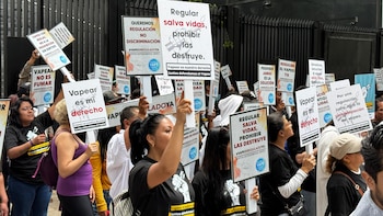 En el pleno, la iniciativa