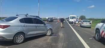 Se cruzó un chancho y generó un accidente en la autopista Buenos Aires La Plata