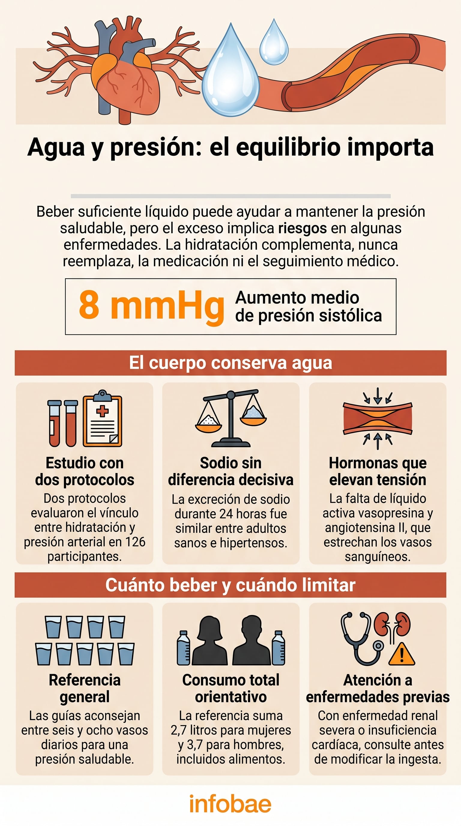 Un esquema informativo expone la relación entre el consumo de agua y la presión arterial, así como las recomendaciones de ingesta de líquidos (Imagen Ilustrativa Infobae)