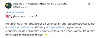 Los animales fueron hallados en el municipio de Miranda, Cauca - crédito