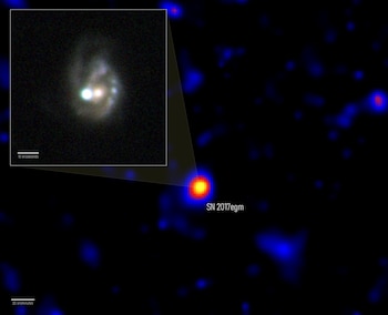 Esta imagen compuesta muestra dos vistas de SN 2017egm, en luz visible (recuadro) y rayos gamma (fondo). La imagen óptica muestra la supernova —el objeto más brillante de la escena— y su galaxia anfitriona el 1 de julio de 2017. El mapa de fondo muestra una amplia zona del cielo que rodea la posición de la supernova. Los colores más brillantes indican una mayor probabilidad estadística de que los rayos gamma estén asociados con la explosión. El mapa incluye los rayos gamma detectados por el Telescopio de Gran Área de Fermi desde el 5 de julio de 2017 hasta el 25 de octubre de 2017, es decir, desde 43 hasta 155 días después del descubrimiento de la supernova.
Antecedentes: Colaboración NASA/DOE/Fermi LAT y Acero et al. 2026; recuadro: NOT+ALFSOC/Bose et al. 2020