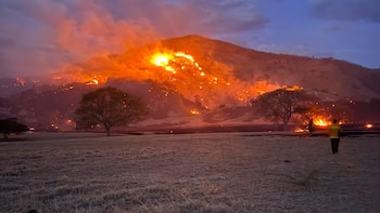 Agosto registró el 81,7% del área afectada por incendios en Cundinamarca en 2026: bomberos intensifican labores en 49 municipios