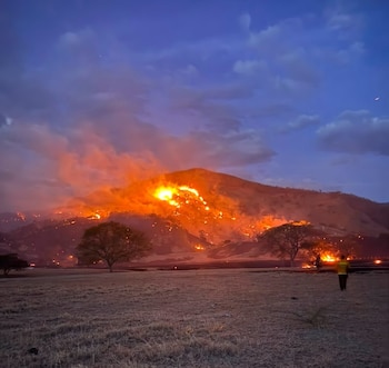 En agosto de 2026, Cundinamarca concentró el 81,7% de las hectáreas afectadas por incendios forestales y de cobertura vegetal en solo 23 días - crédito Gobernación Cundinamarca/Bomberos Cundinamarca