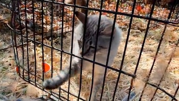 El emotivo momento en que