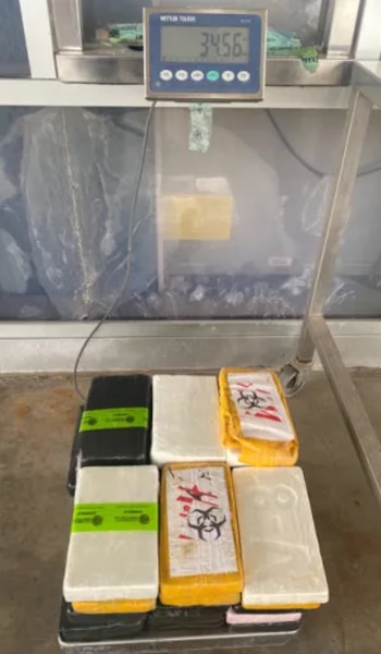 La droga asegurada
(CBP)