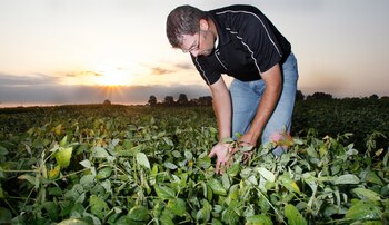 En la zona núcleo la