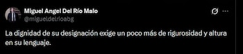 Miguel Ángel del Río le dijo a Carolina Gómez que usara un lenguaje con más altura para referirse a este tipo de temas debido a la "dignidad de su designación" - crédito @migueldelrioabg/X