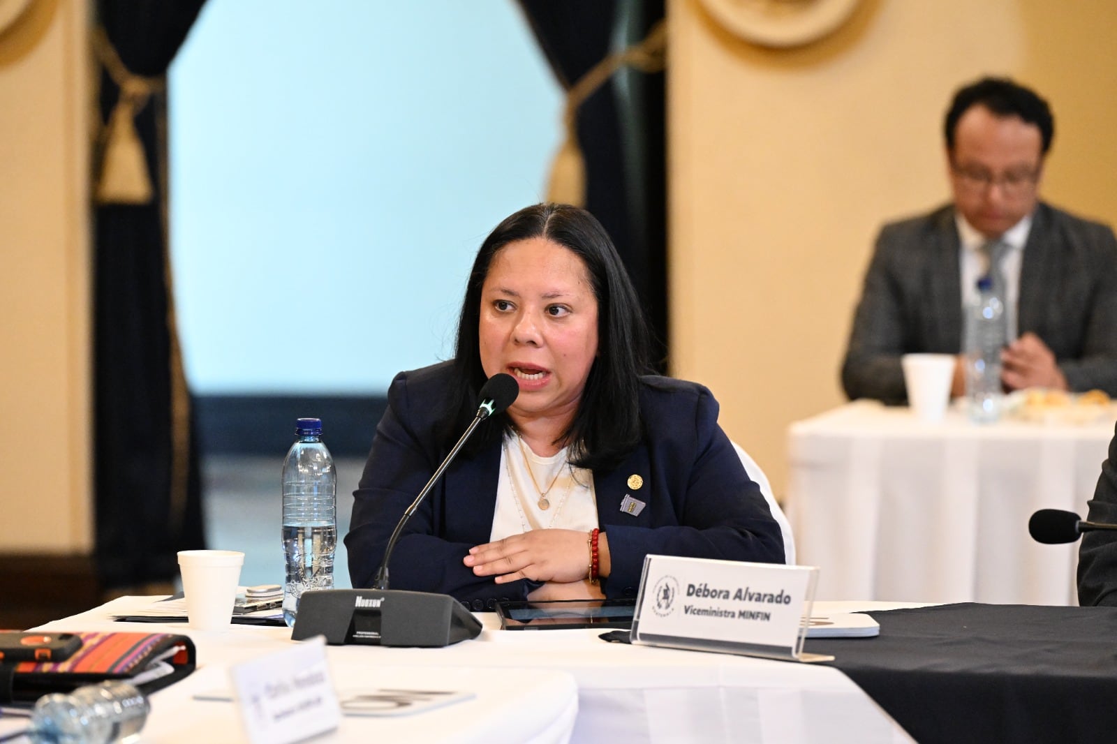 Débora Alvarado cuenta con más de 15 años de experiencia profesional y trayectoria en el Instituto Centroamericano de Estudios Fiscales. (AGN)