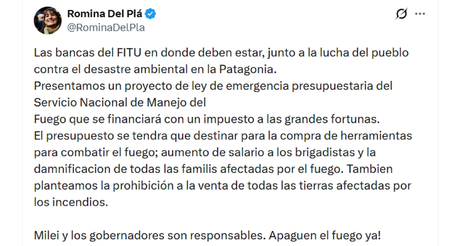 Romina del Pla, diputada del Frente de Izquierda