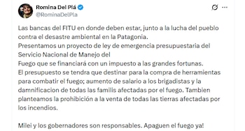 Romina del Pla, diputada del