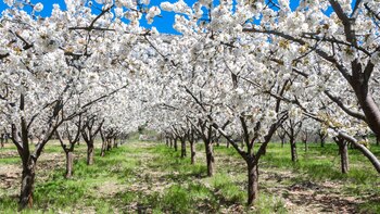 El paisaje desconocido de Burgos