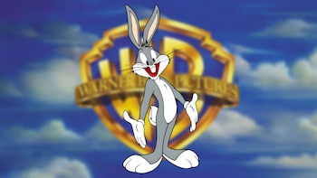 Warner Bros denunció a textilería