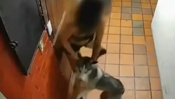 Video revela cruel golpiza contra un perro en una vivienda de Bogotá: Policía capturó a la presunta agresora