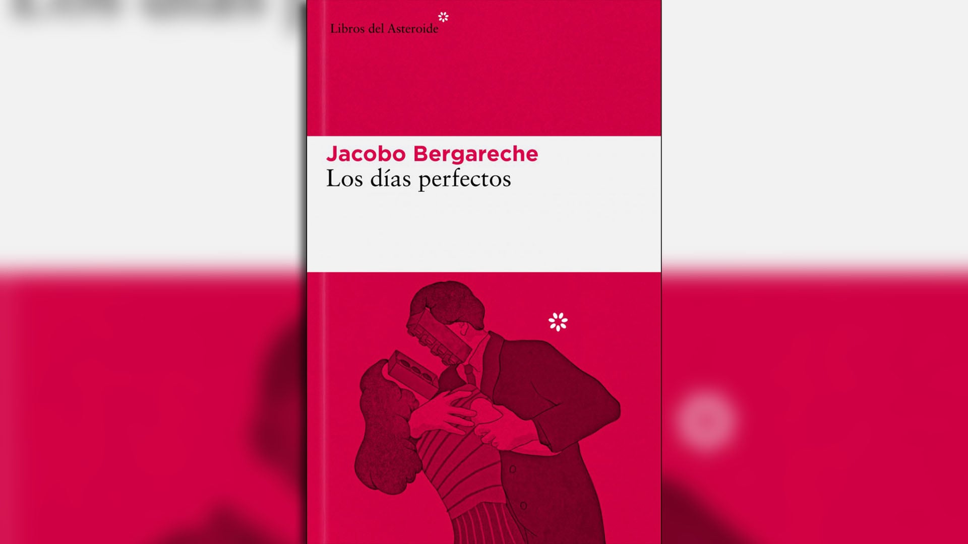 Los días perfectos, la novela de Bergareche.