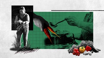 Die Rosario-Organisation verbindet agroökologische Lebensmittelproduzenten