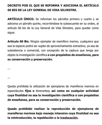 Los shows con mamíferos marinos