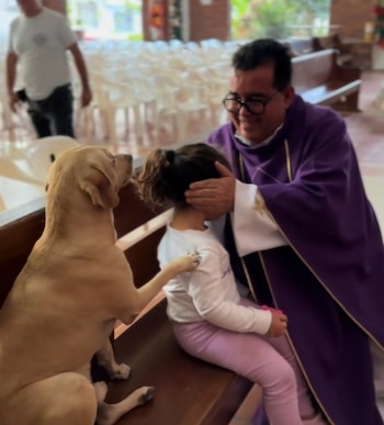 El perro Simón extiende una pata al sacerdote durante una oración - crédito @padrecarlosmariobendito/tiktok