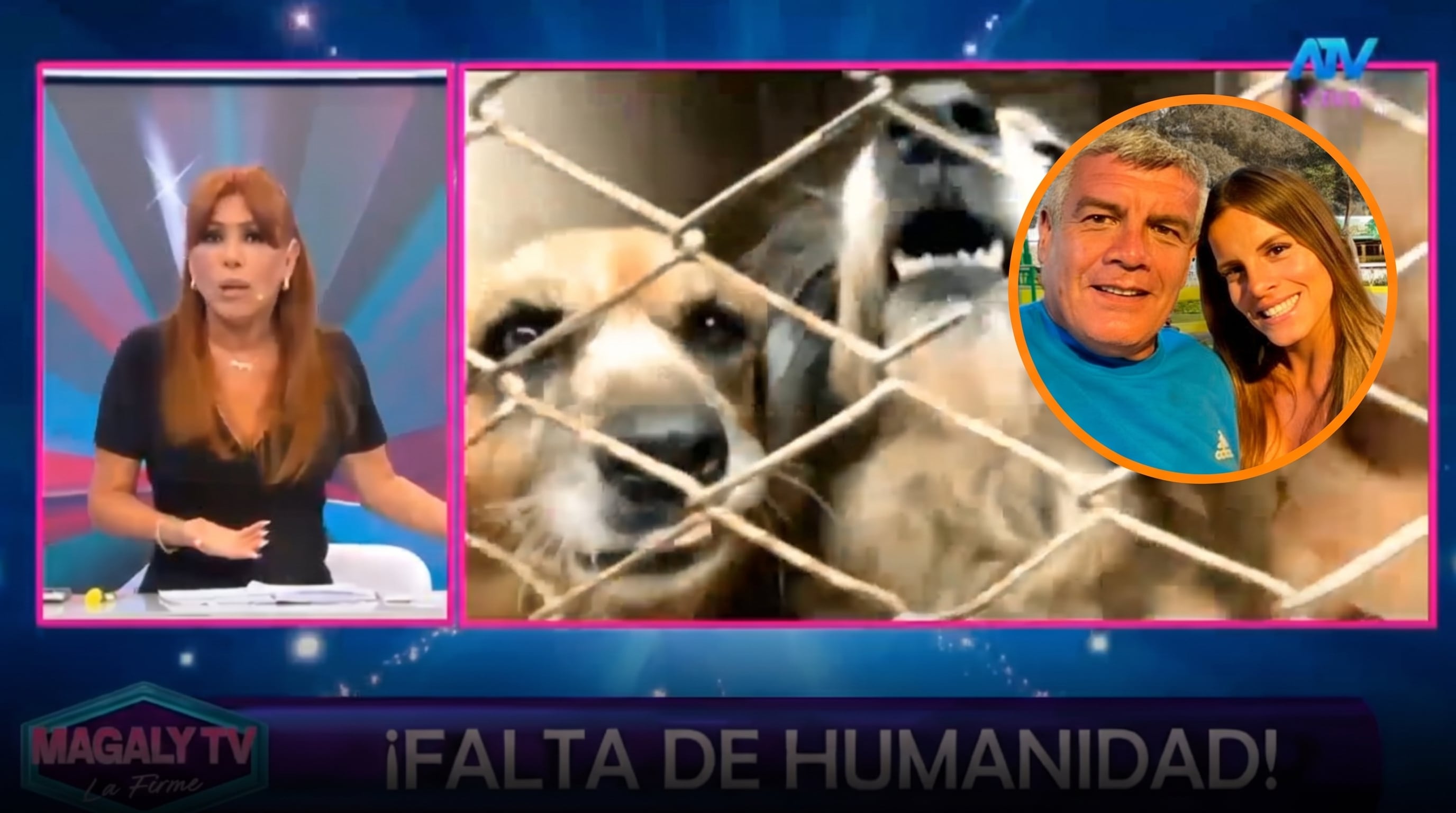 Magaly Medina cuestiona a Sergio Baigorria por 50 animales abandonados: “¿Qué comen?, no es un buen ser humano”