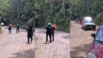 Ataque de un enjambre de