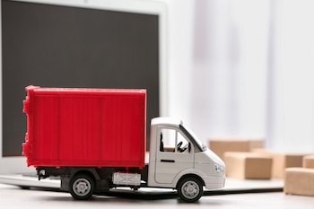 Para Ana Paula, "la logística