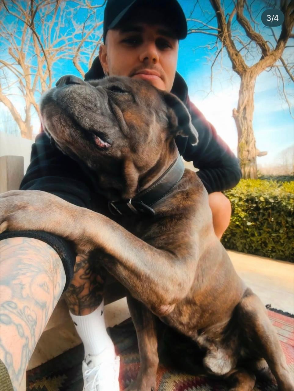 Tano, el perro de Icardi, posa en las imágenes con una actitud cercana y afectuosa, característica de la raza, reconocida por seguir a sus dueños a todos lados como verdadero “perro sombra”