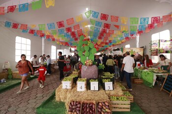 Conoce todos los detalles sobre