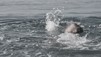 Cuando notaron que no estaba