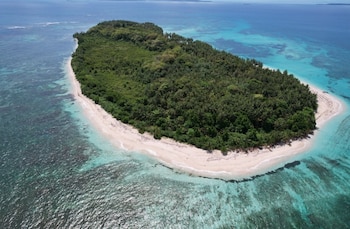 Cayo Zapatilla es un refugio vital para especies como las tortugas marinas. (Miambiente)