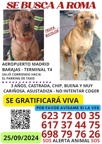 Cartel con la información y fotos sobre Roma. (Fundación Franz Weber)