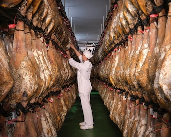 Proceso de secado del jamón ibérico de Manuel Guillén (Facebook)