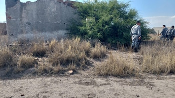 Autoridades buscaron por cielo y