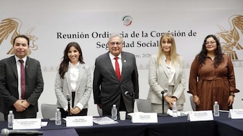 Comisión del Senado aprueba que personas en situación de concubinato accedan a la pensión por viudez