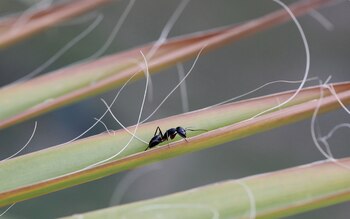 EFE/EPA/HARISH TYAGI/Archivo