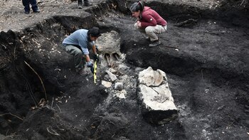 Habló la hija del desaparecido