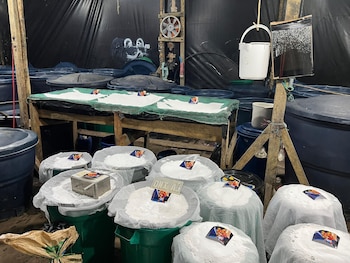 Las operaciones militares en Nariño permitieron la erradicación de 298.960 matas de coca y la incautación de 42.800 kilogramos de insumos para el procesamiento de drogas - crédito Fuerzas Militares