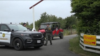 El hallazgo de 117 perros enterrados sacude a California: la policía asegura que la investigación recién empieza