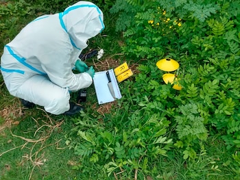 El cuchillo encontrado por los