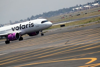 El grupo de trabajadores también